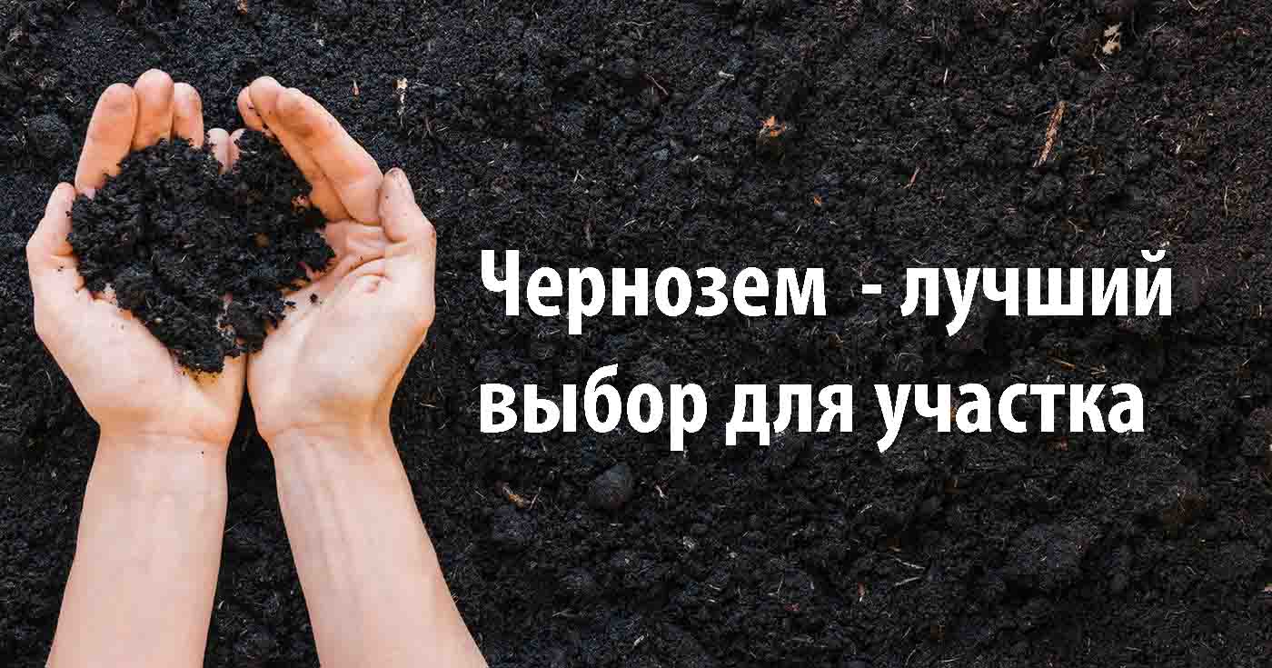 Правильный выбор грунта лучший чернозем